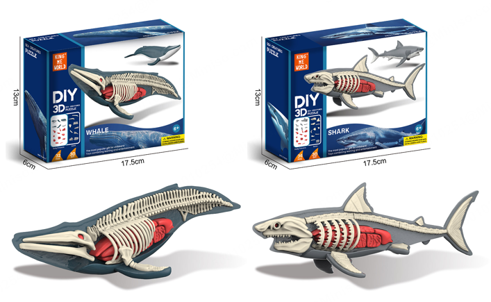 Animal Anatomy Toys(Marine Animals) Animal Anatomy Toys(Marine Animals)