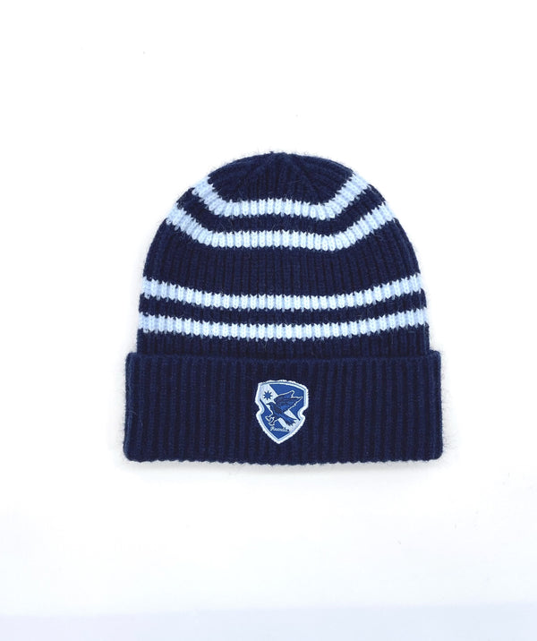 Harry Potter School Striped Knitted Hat (Blue)