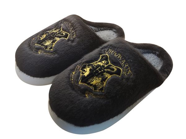 Harry Potter Embroidery Men's Plush Slippers(Black,43-44)