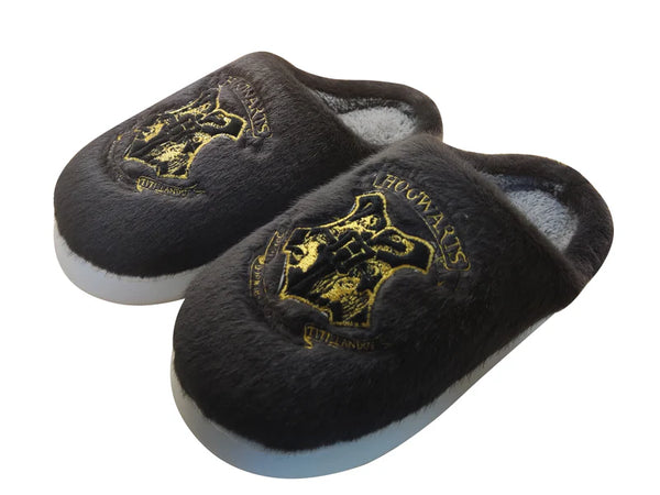 Harry Potter Embroidery Men's Plush Slippers(Black,41-42)