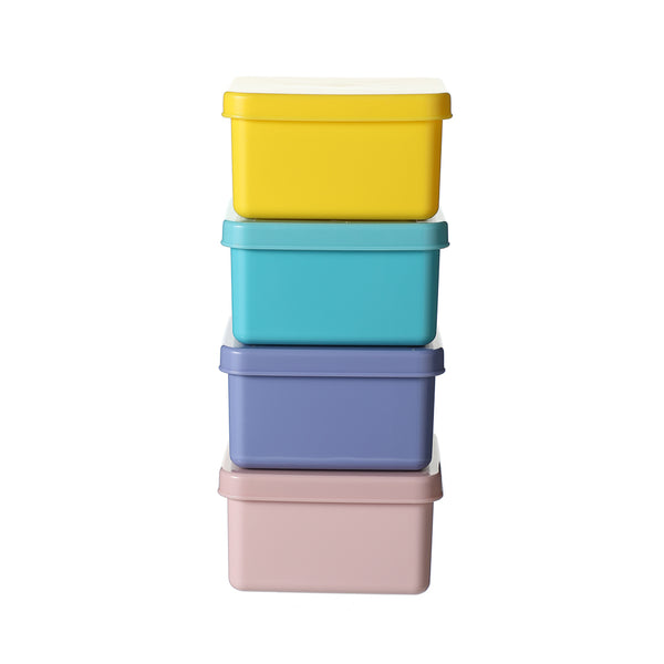 Food Storage Container (M, 4pcs)