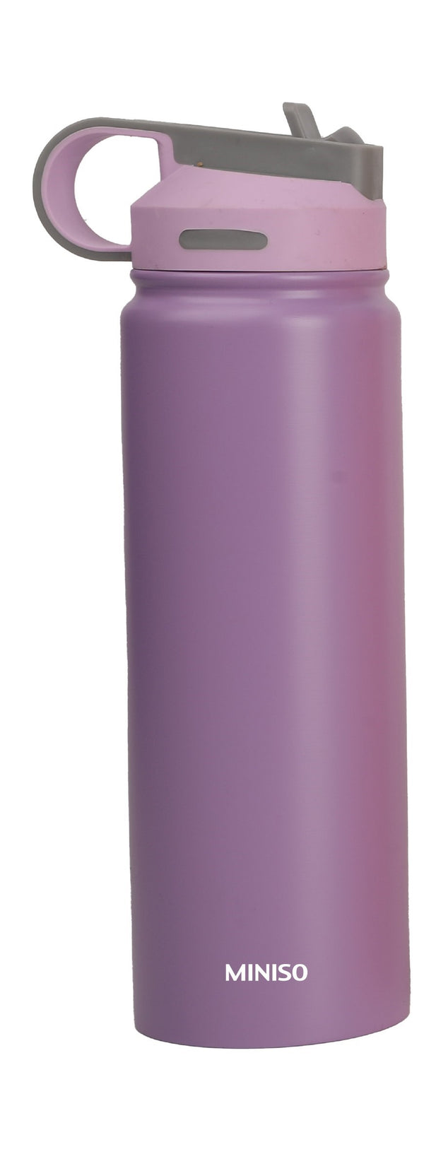 Solid Color Stainless Steel Bottle with Handle and Straw Lid (900mL)(Purple)