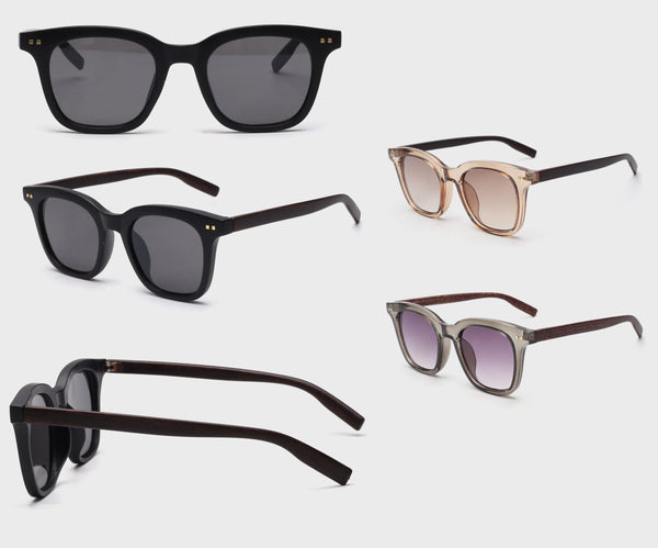 F-009 Wayfarer Sunglasses