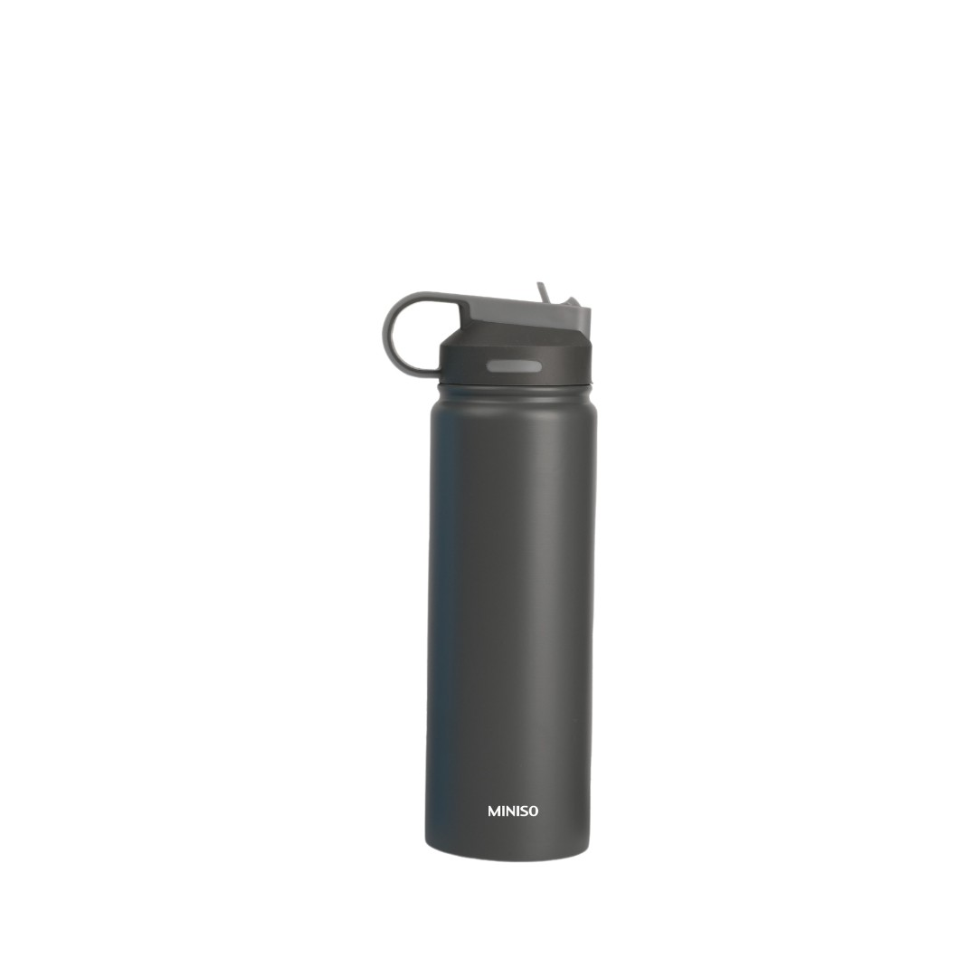 Solid Color Stainless Steel Bottle with Handle and Straw Lid (900mL)(Gray)