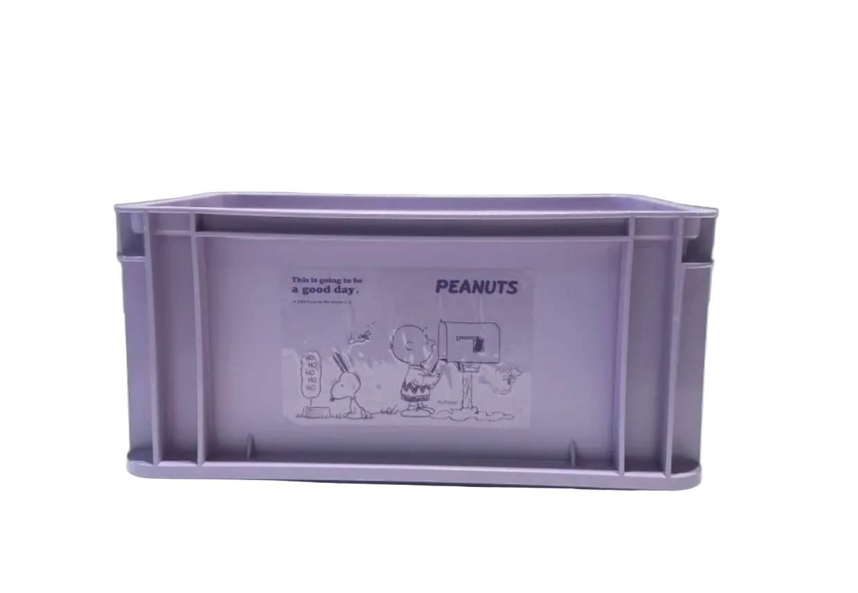Snoopy Colorful Life Collection Large Stackable Lidless Storage Box(Pu ...