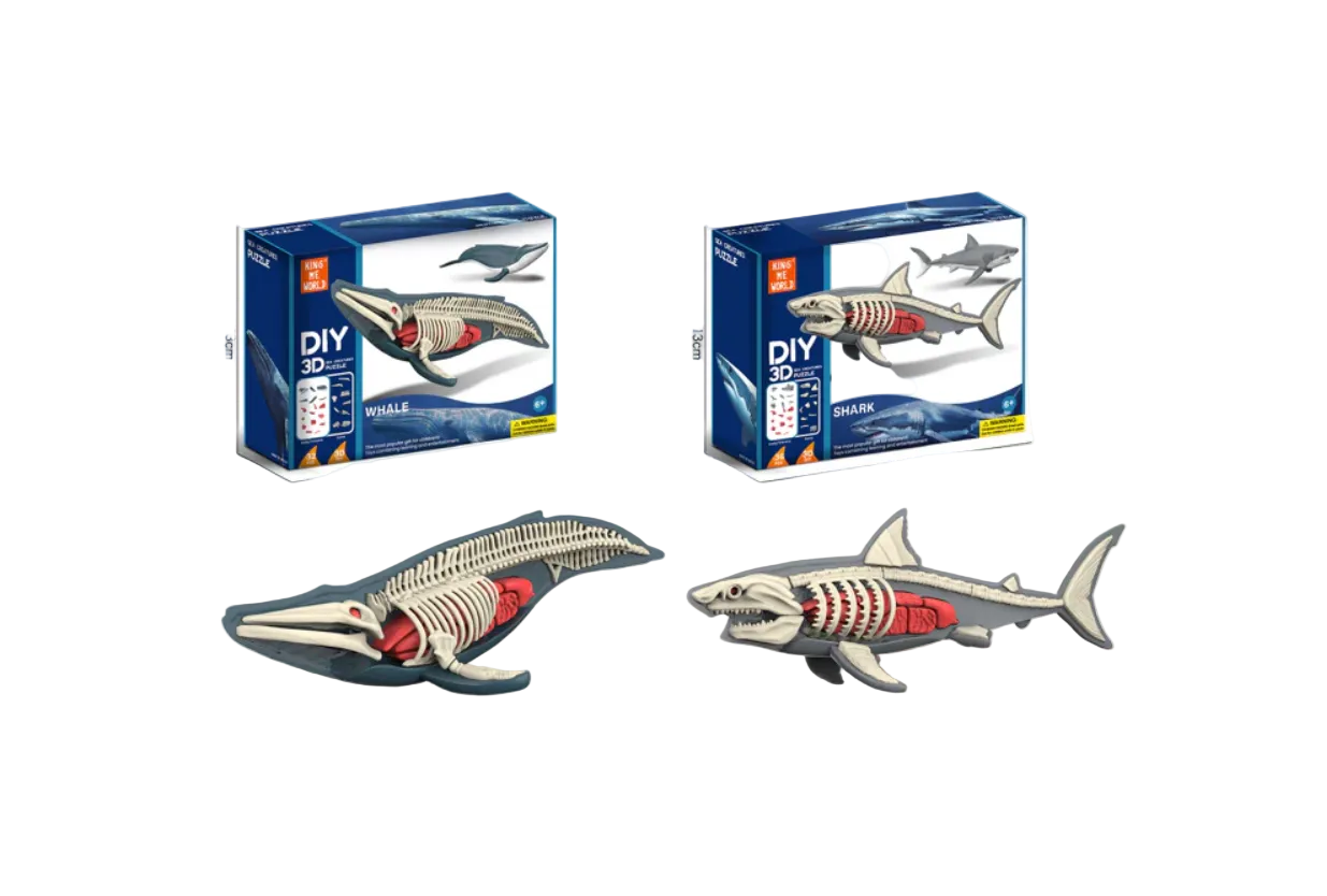 Animal Anatomy Toys(Marine Animals) Animal Anatomy Toys(Marine Animals)