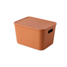 Colored Series Storage Box with Lid (L)(Orange)